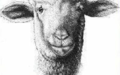 عید مردمی که هم گرسنه‌اند و هم قربانی